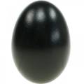 Floristik24 Ganzeneieren Zwart Geblazen Eieren Paasdecoratie 12st