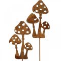 Floristik24 Tuinplug patina paddenstoel decoratieve plug 15cm 6st