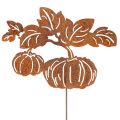Floristik24 Tuinpaal met pompoenmotief, metalen decoratie, roestkleurige afwerking, 100 cm