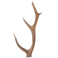 Floristik24 Decoratieve kunstmatige geweien, rustieke blokhutdecoratie, 50 cm