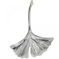 Floristik24 Decoratieve hanger ginkgo blad, metalen decoratie, advent, herfstdecoratie zilver L12cm 12st