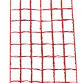 Floristik24 Grid tape 4,5 cm x 10 m rood