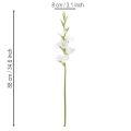 Kunstmatige gladiolus, lange steel, voor vazen, 88 cm | Floristik24.nl