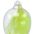 Floristik24 Glazen ei met veren om op te hangen 6,5 cm lichtgroen 6st