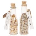 Floristik24 Glazen flesdecoratie met schelpen en hanger, maritieme tafeldecoratie, 17 cm, 2 stuks