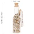 Glazen flesdecoratie met schelpen en hanger, maritieme tafeldecoratie, 17 cm, 2 stuks | Floristik24.nl