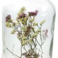 Floristik24 Glas met kandelaar, glasdecoratie met droogbloemen H16cm Ø8,5cm