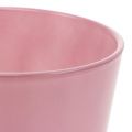 Floristik24 Glazen pot Ø10cm H8,5cm oud roze