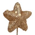 Floristik24 Glitter ster op de draad goud 3,5 cm 12 stks