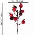 Kunstmatige granaatappeltak met vertakkende stelen als vaasdecoratie, 19 cm, 4 stuks | Floristik24.nl