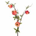 Floristik24 Kunstmatige granaatappeltak als fruittak voor tafeldecoratie, 68 cm