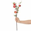 Kunstmatige granaatappeltak als fruittak voor tafeldecoratie, 68 cm | Floristik24.nl