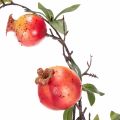 Kunstmatige granaatappeltak als fruittak voor tafeldecoratie, 68 cm | Floristik24.nl