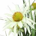 Floristik24 Gras met Echinacea kunstmatig in de pot wit 52cm