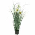 Floristik24 Gras met Echinacea kunstmatig in een witte pot 56cm