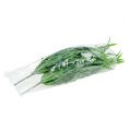Floristik24 Grasstruik groen 48cm 3st