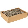 Decoratief mos, grijs mos voor knutselprojecten, 500 g | Floristik24.nl