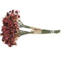 Floristik24 Gypsophila kunstbloemen rood herfst 29,5cm 18st