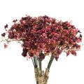 Floristik24 Gypsophila kunstbloemen rood herfst 29,5cm 18st