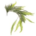Floristik24 Kunstmatige varen, decoratieve varentak om te plakken en op te hangen, 118 cm