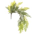 Floristik24 Kunstmatige varentak, delicaat, voor vaas, 80 cm