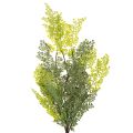 Kunstmatige varentak, delicaat, voor vaas, 80 cm | Floristik24.nl