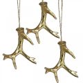 Floristik24 Kersthanger decoratie gewei boomversiering goud 7,5cm 6 st