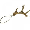 Kersthanger decoratie gewei boomversiering goud 7,5cm 6 st | Floristik24.nl