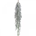 Floristik24 Kersttak voor het ophangen van dennenappels gesneeuwd 110cm