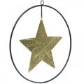 Floristik24 Kerstdecoratie sterhanger goud zwart 12,5cm 3st
