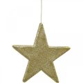 Floristik24 Kerstdecoratie ster hanger gouden glitter 30cm 2st