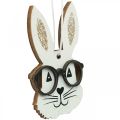 Floristik24 Houten hanger konijn met bril wortel glitter 4×7,5cm 9st