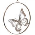 Floristik24 Wanddecoratie vlinder decoratie metaal ring roos Ø38cm
