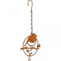 Floristik24 Metalen vogel om op te hangen, voederplaats, vogel met haak patina 11,5×13cm