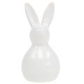 Floristik24 Bunny keramiek wit 7.5cm 6st
