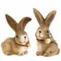 Floristik24 Decoratieve figuren konijnen met veer en houten parelbruin assorti 7cm x 4,9cm H 10cm 2st