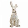 Floristik24 Decoratief konijn zittend shabby chic lente decoratie H25cm 2st