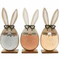 Floristik24 Houten konijn in een ei, lentedecoratie, konijnen met bril, paashazen 3st