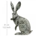 Floristik24 Decoratief konijn zittend steenlook tuindecoratie H31cm