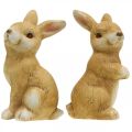 Floristik24 Bunny zittend, keramiek decoratie, Pasen, paar konijntjes bruin H15cm set van 2