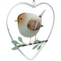 Floristik24 Harthanger met mussen, lentedecoratie, metalen hart, Valentijnsdag, vogelhart 4st