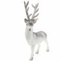 Floristik24 Decoratief hert gevlokt/gesneeuwd 39cm