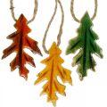 Floristik24 Decoratief bladerenhout om kleurrijke herfstdecoratie op te hangen 6.5×4cm 12st