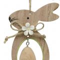 Floristik24 Decoratieve hanger houten konijn met ei 4st