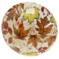 Floristik24 Houten paddestoel deco herfstbladeren wit, kleurrijke herfstdecoratie Ø13cm H19cm