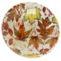 Houten paddestoel deco herfstbladeren wit, kleurrijke herfstdecoratie Ø13cm H19cm | Floristik24.nl