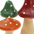Floristik24 Decoratieve paddenstoelen van hout oranje, groen, rood 6/8 / 10,5cm 9st