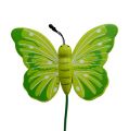Floristik24 Houten vlinders op de stok, assorti 3 kleuren 8cm 24st