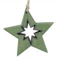 Floristik24 Houten ster met motieven groen 11cm 6st