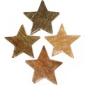 Floristik24 Houten sterren strooidecoratie kerstster natuur glans H5cm 12 stuks
